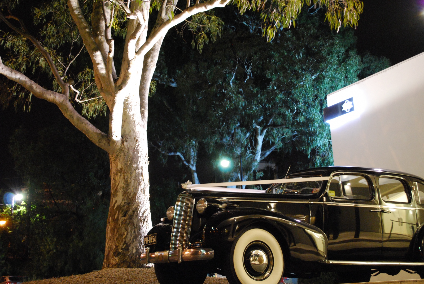 Leonda-By-The-Yarra-Bu-cadi-wedding-cars-Viewbank-3084